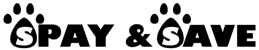 Slide of Moreno Service