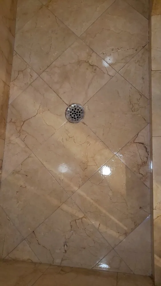 Slide of Morgan property maintenance