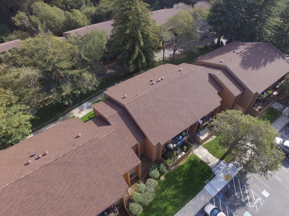 Slide of Moriarty's Roofing