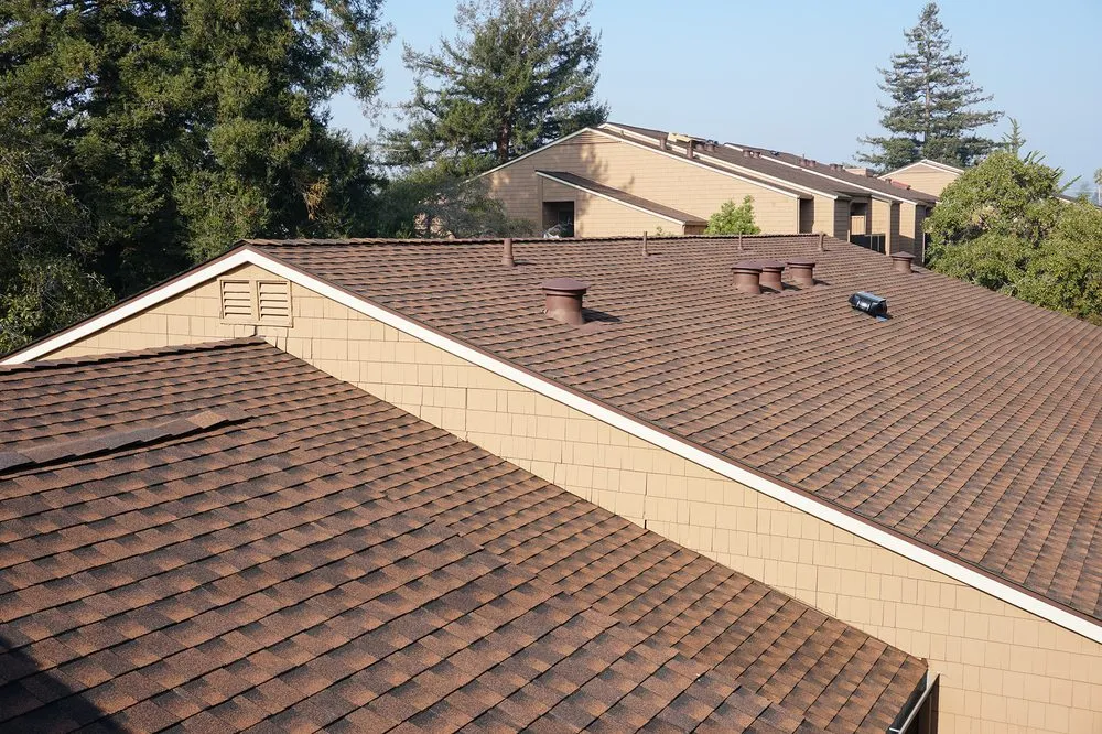 Slide of Moriarty's Roofing