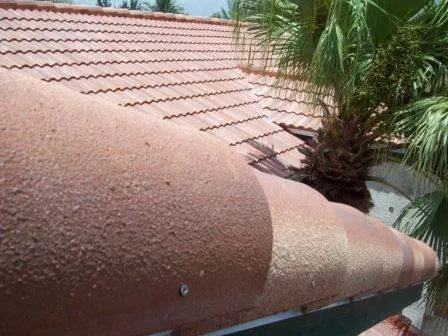 Slide of Morton Roofing