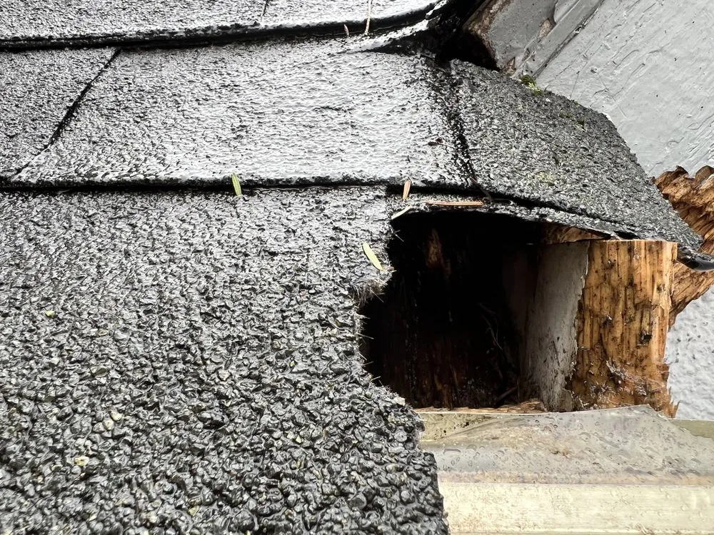 Slide of Moses Williamson