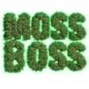 Slide of Moss Boss Roof Cleaning & House Washing