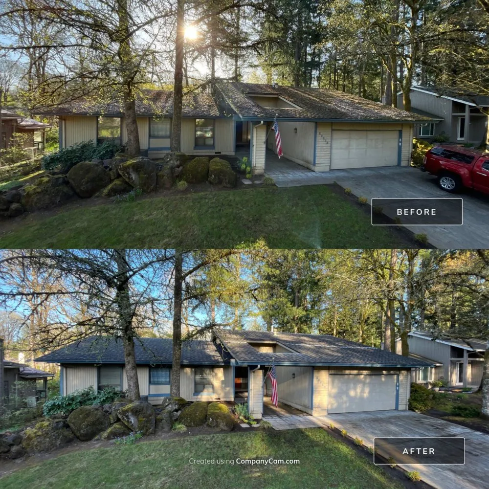 Slide of Moss Busters