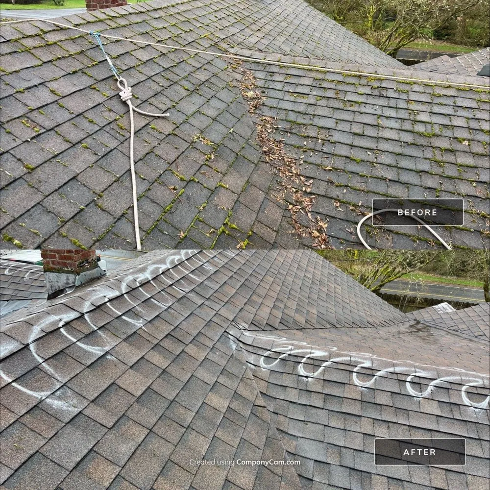 Slide of Moss Busters