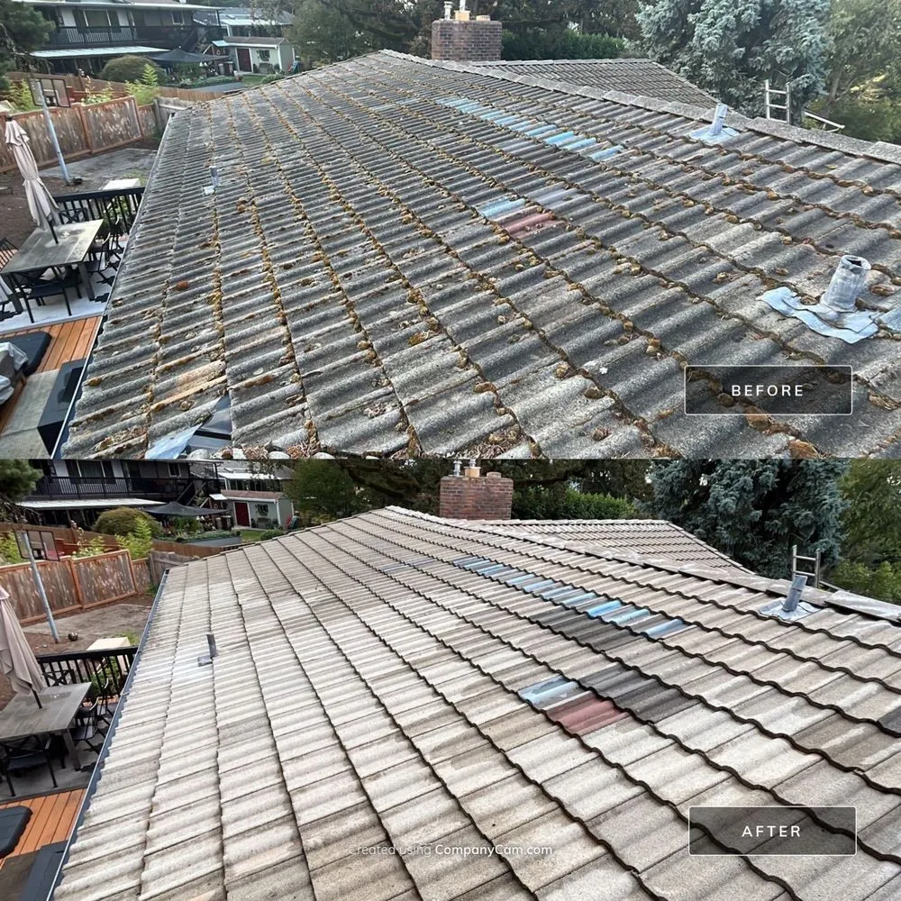 Slide of Moss Busters