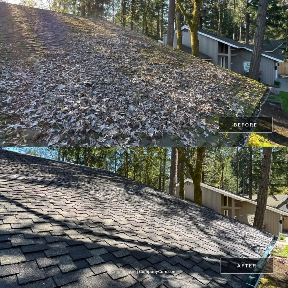 Slide of Moss Busters