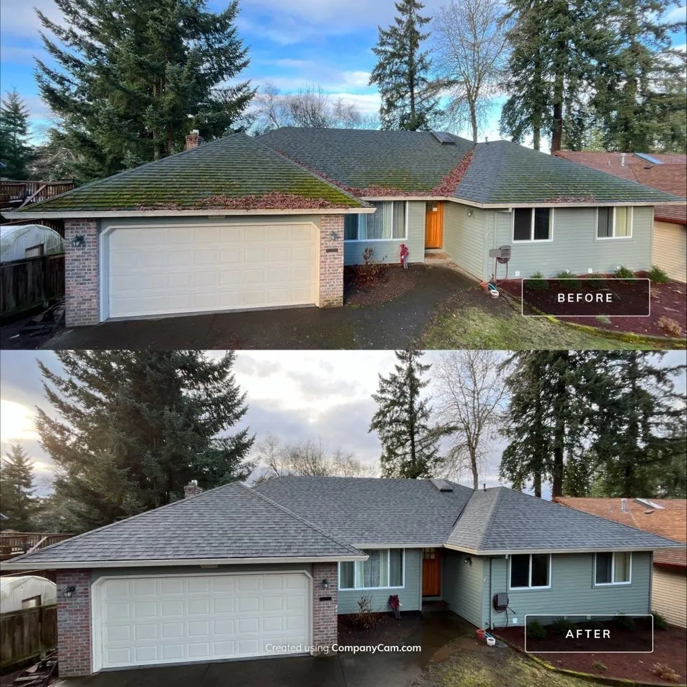 Slide of Moss Busters