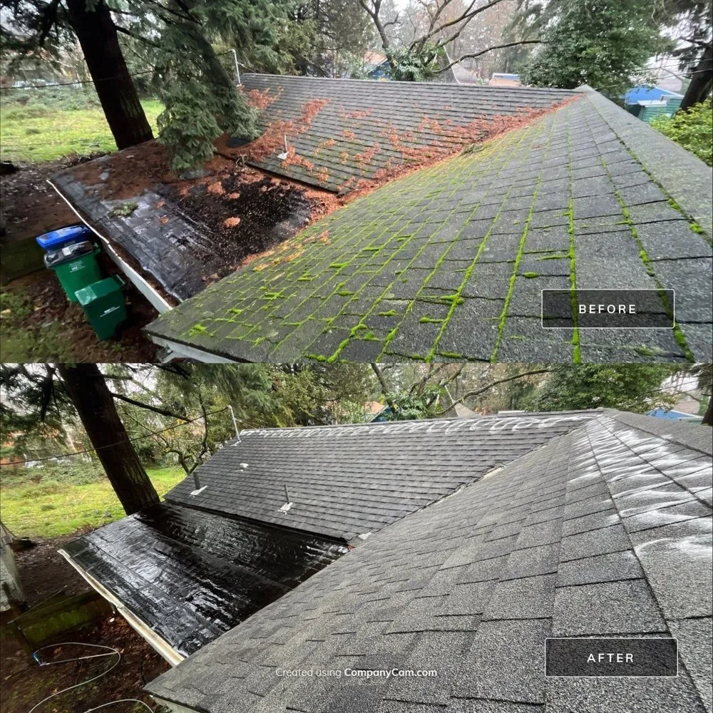 Slide of Moss Busters