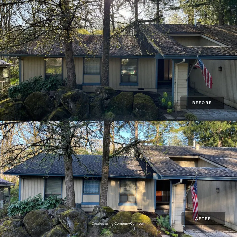 Slide of Moss Busters