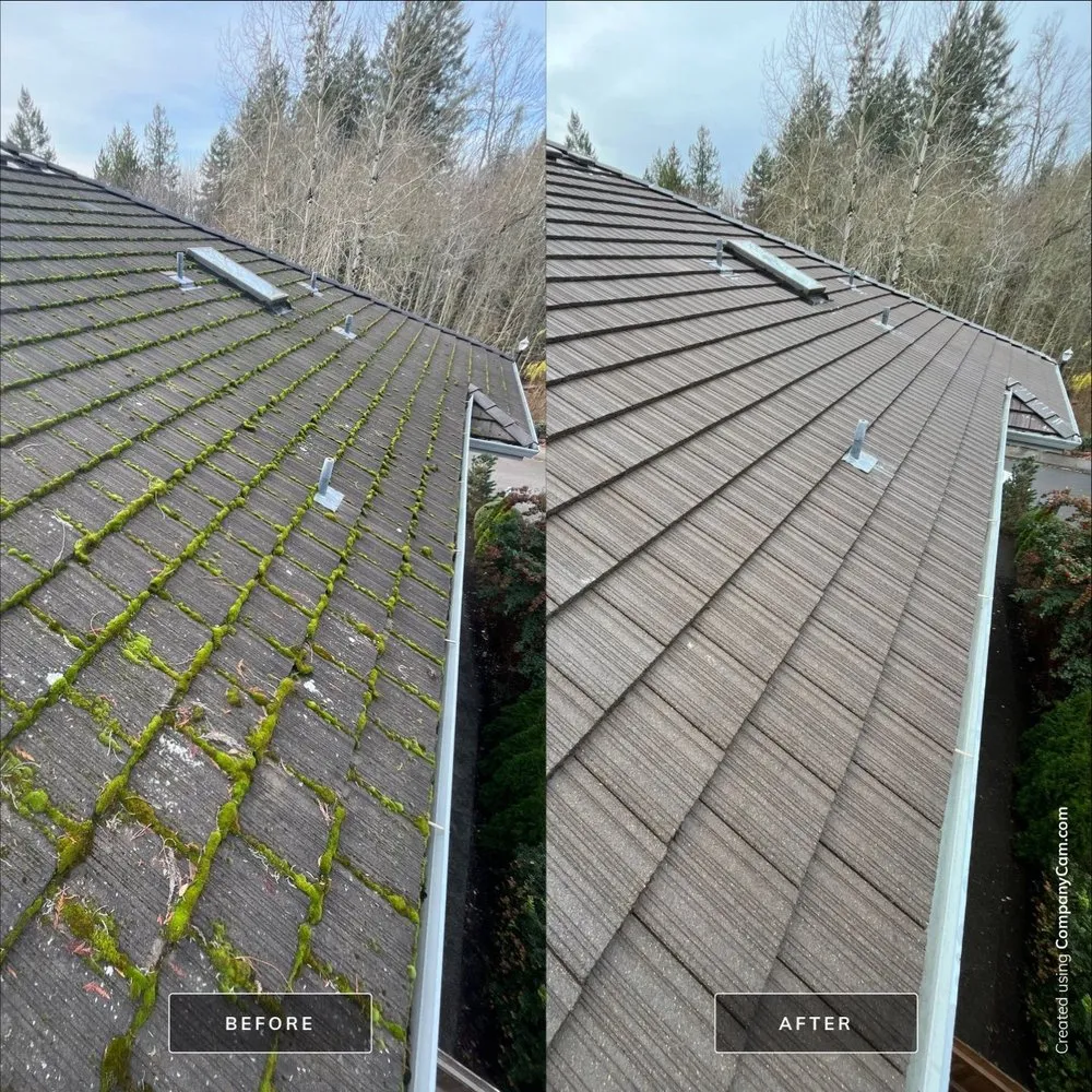 Slide of Moss Busters