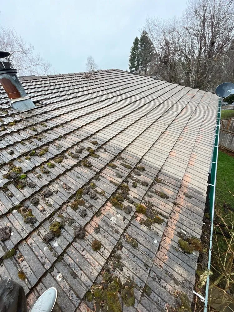 Slide of Moss Busters