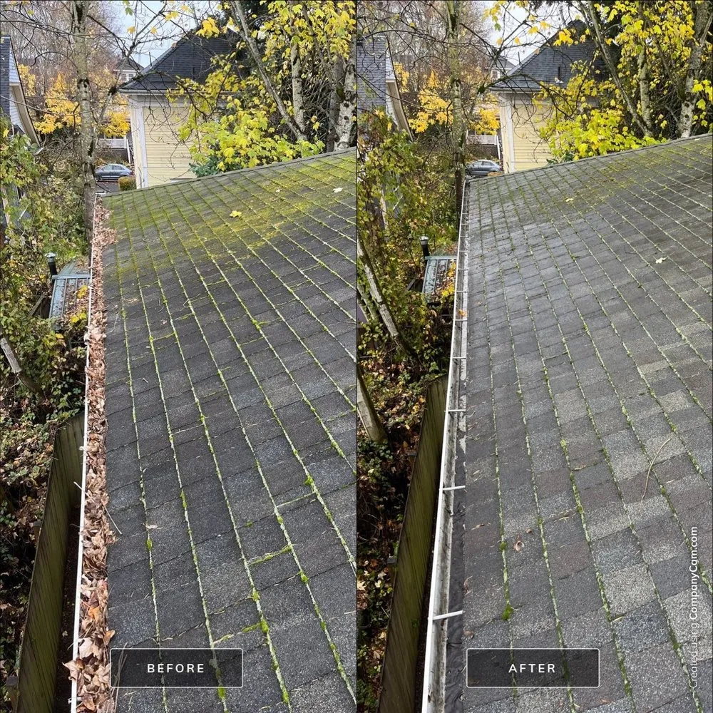 Slide of Moss Busters