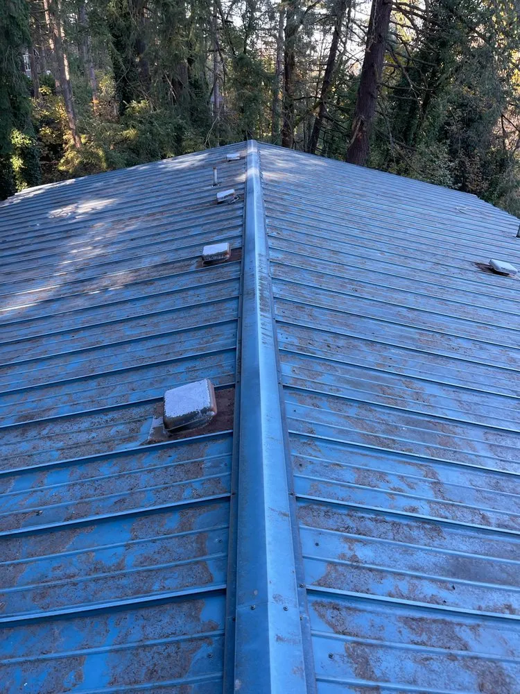 Slide of Moss Busters