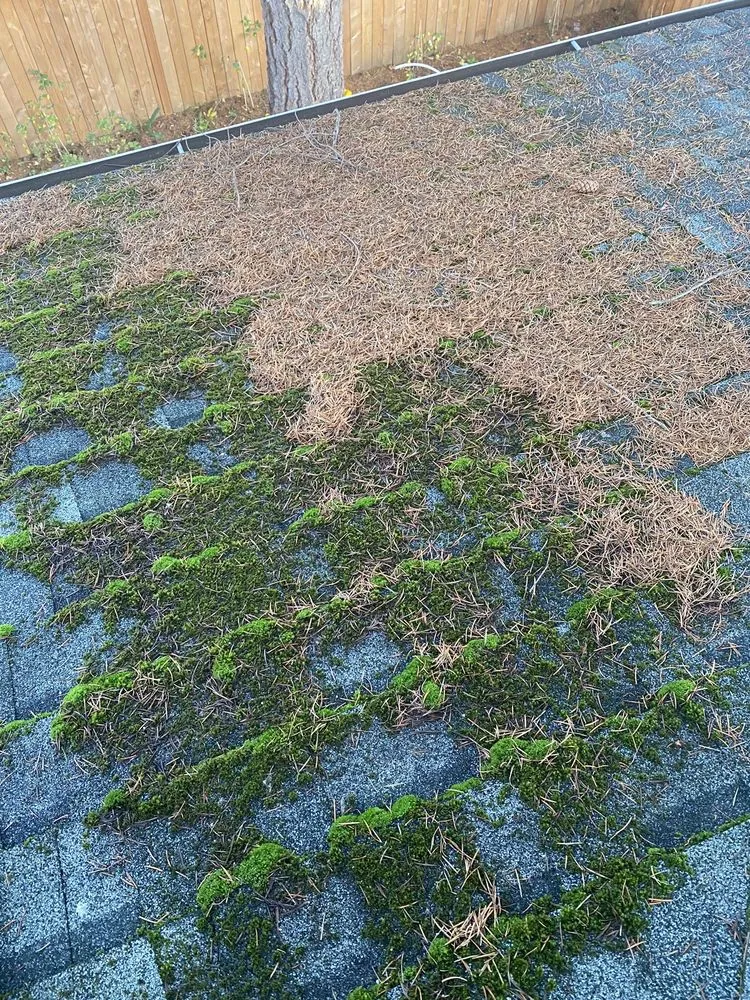 Slide of Moss Busters