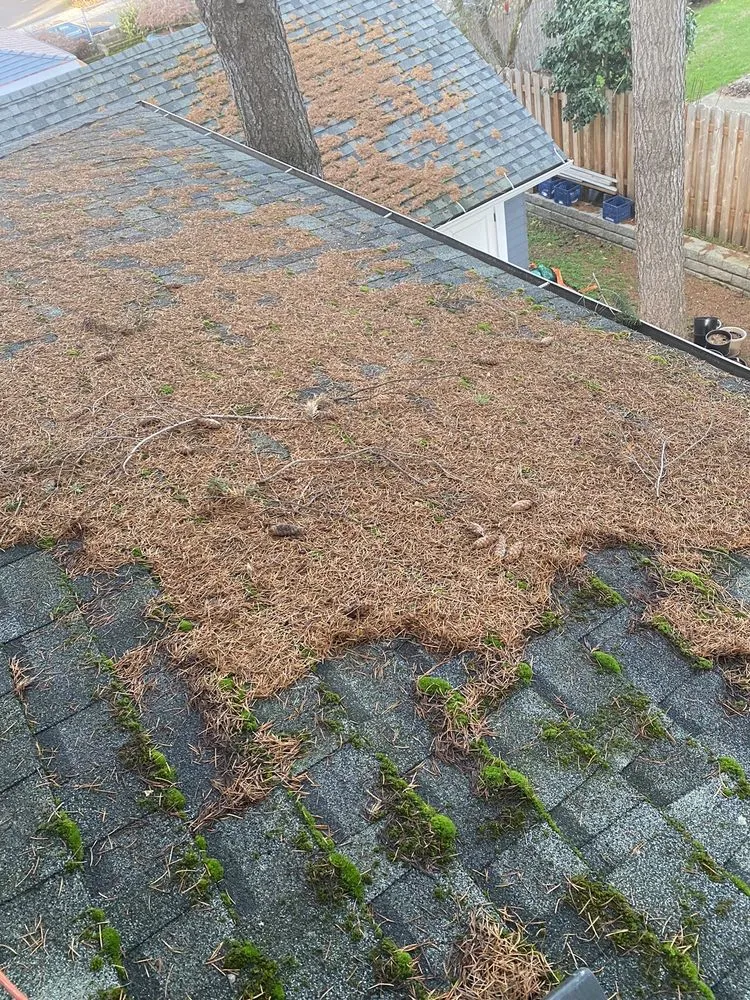 Slide of Moss Busters