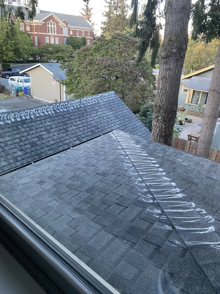 Slide of Moss Busters