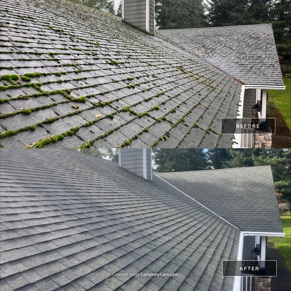 Slide of Moss Busters