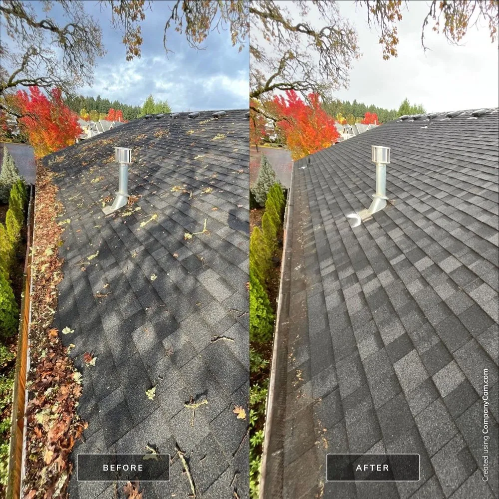 Slide of Moss Busters