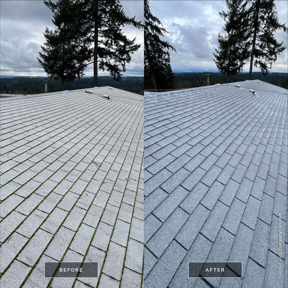 Slide of Moss Busters