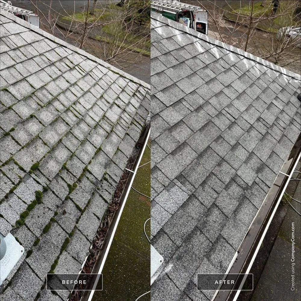 Slide of Moss Busters