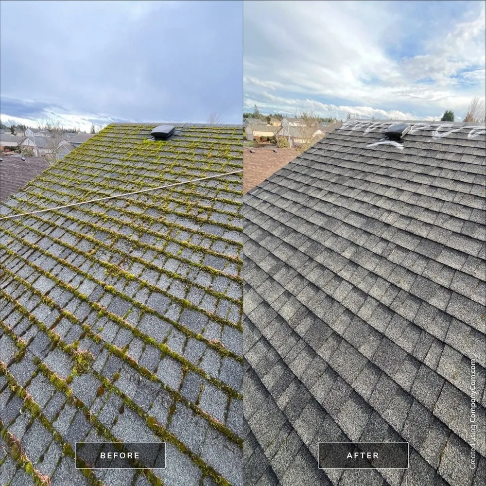 Slide of Moss Busters