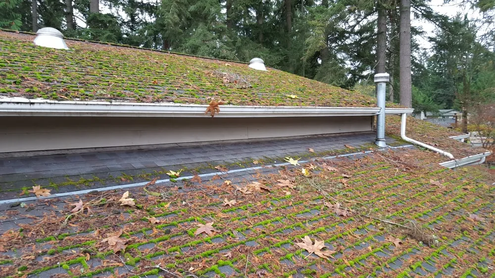 Slide of Moss Defender