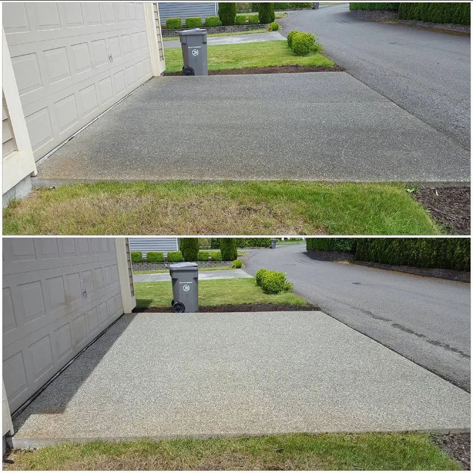 Slide of Moss Defender