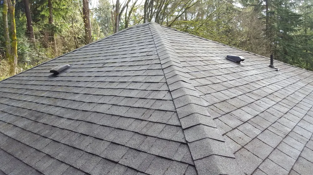 Slide of Moss Defender