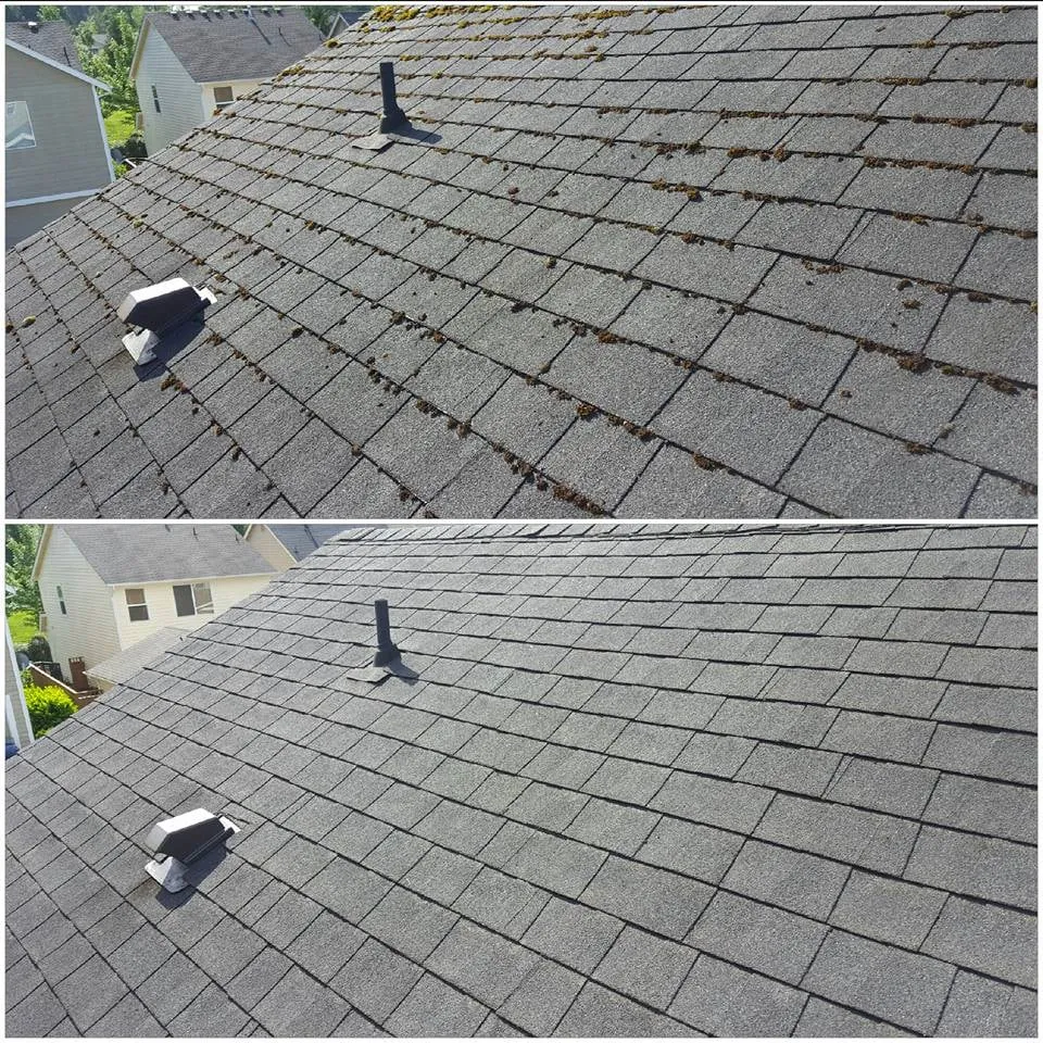 Slide of Moss Defender