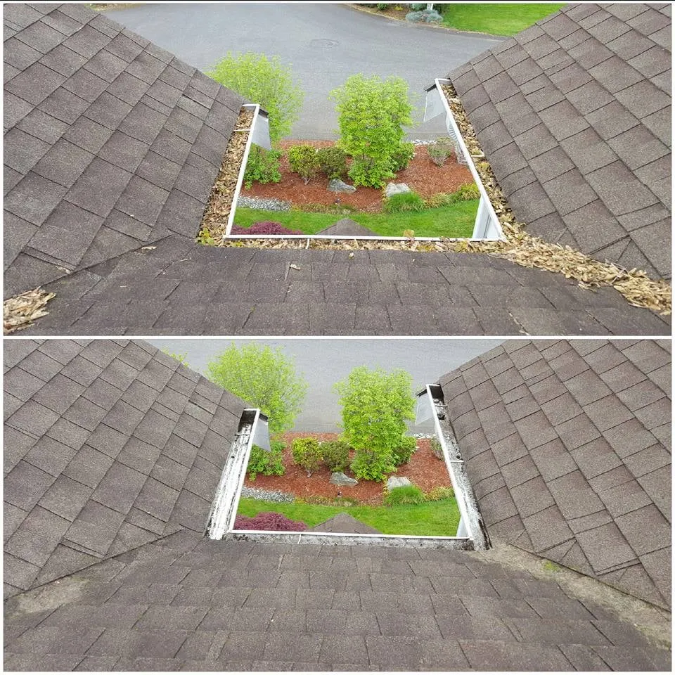 Slide of Moss Defender