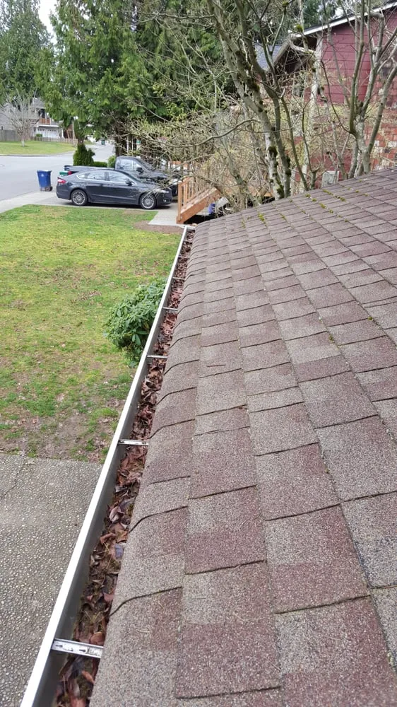 Slide of Moss Defender