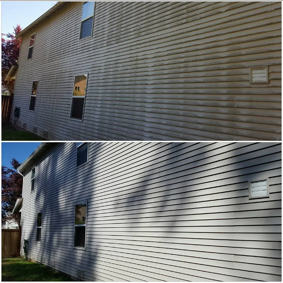 Slide of Moss Defender