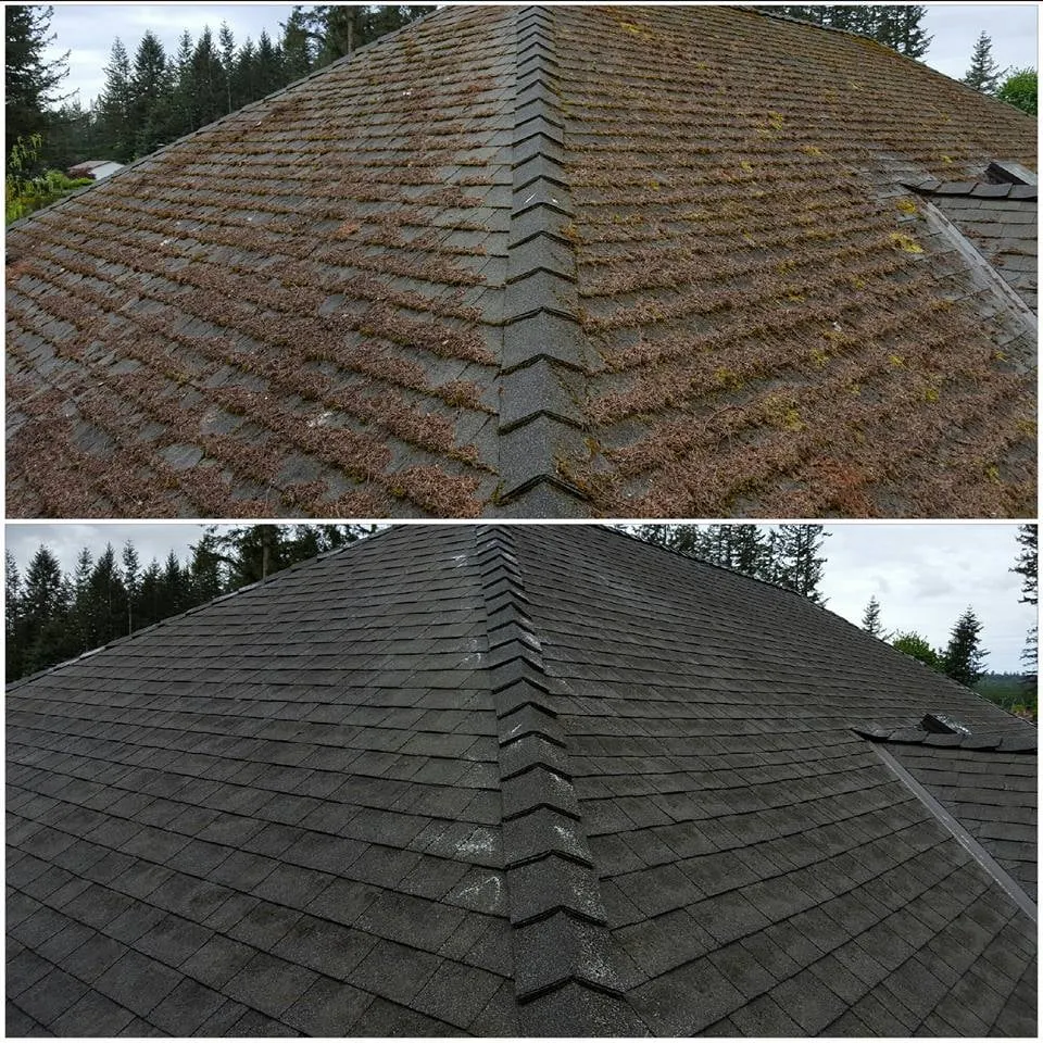 Slide of Moss Defender