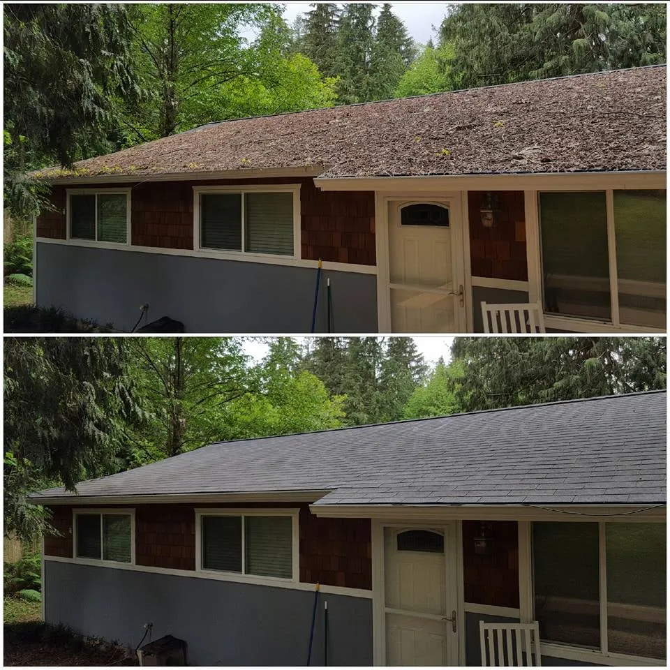 Slide of Moss Defender