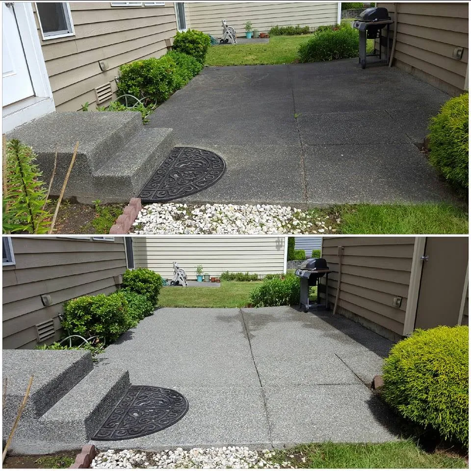 Slide of Moss Defender