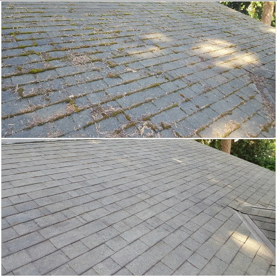 Slide of Moss Defender