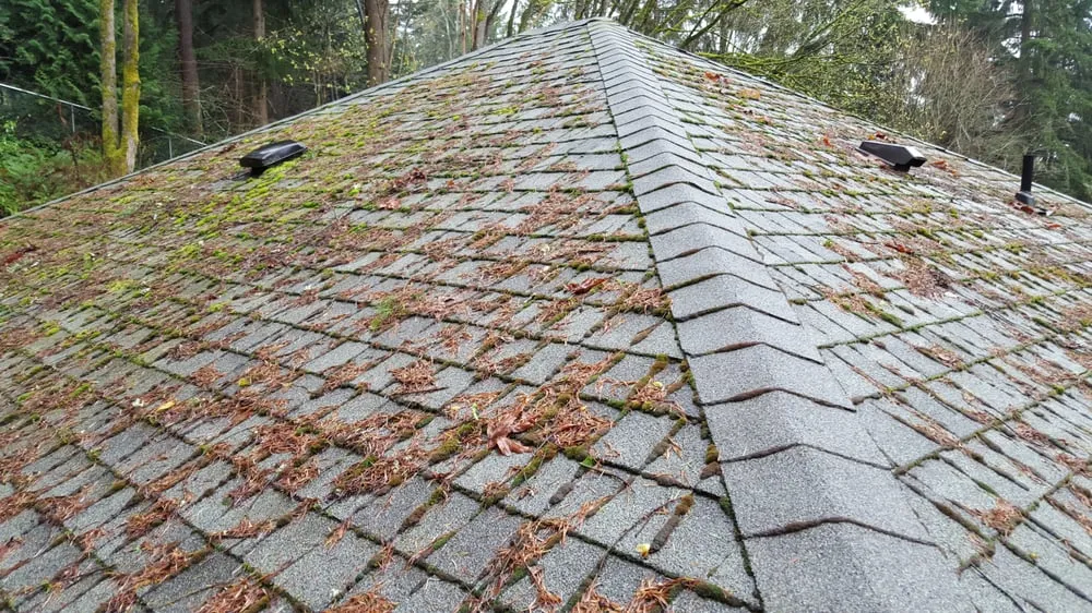 Slide of Moss Defender