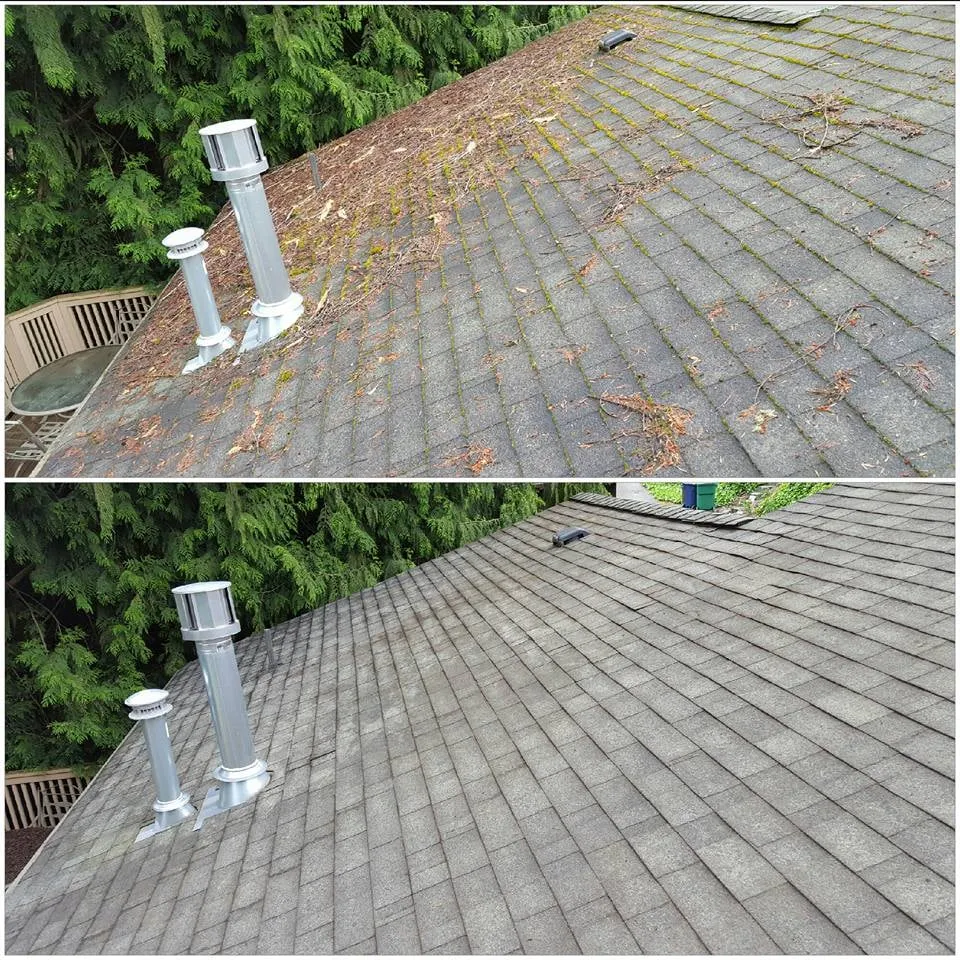 Slide of Moss Defender