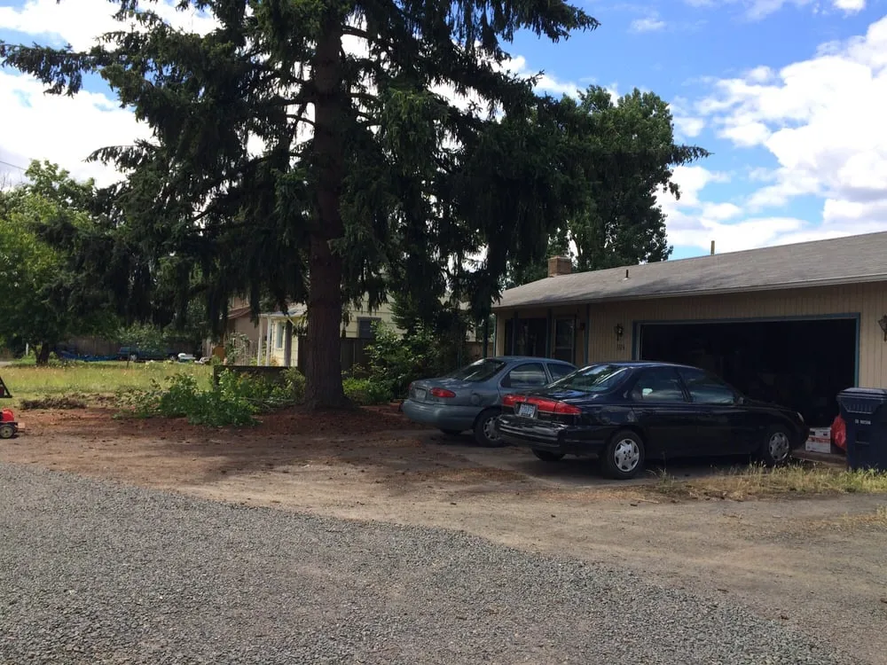 Slide of Moss-N-More