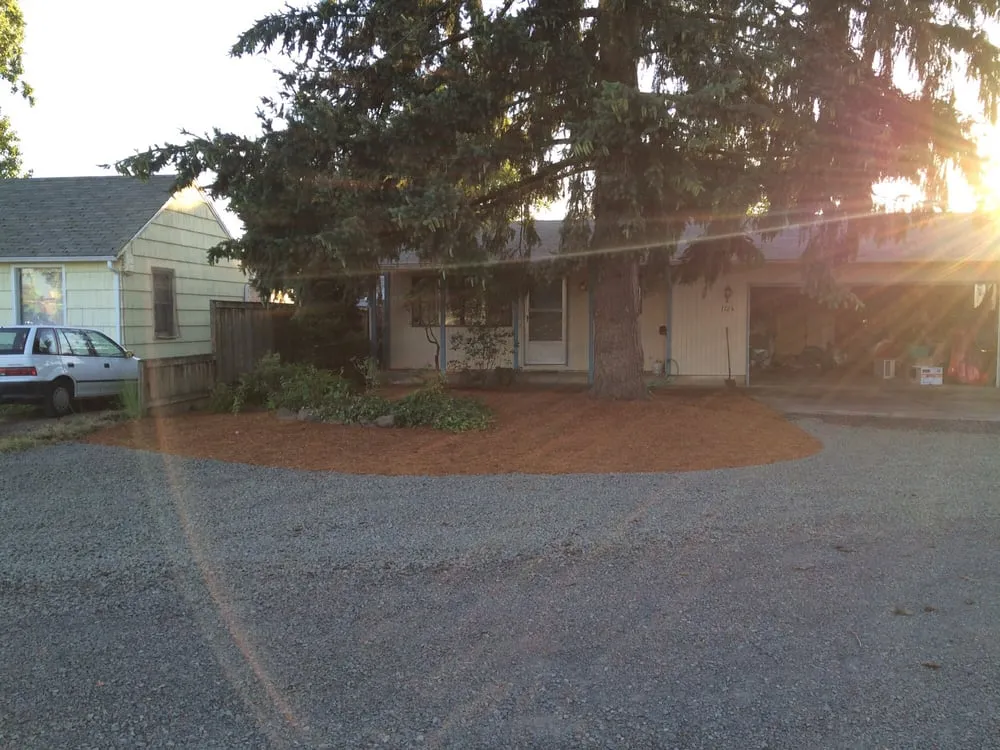 Slide of Moss-N-More