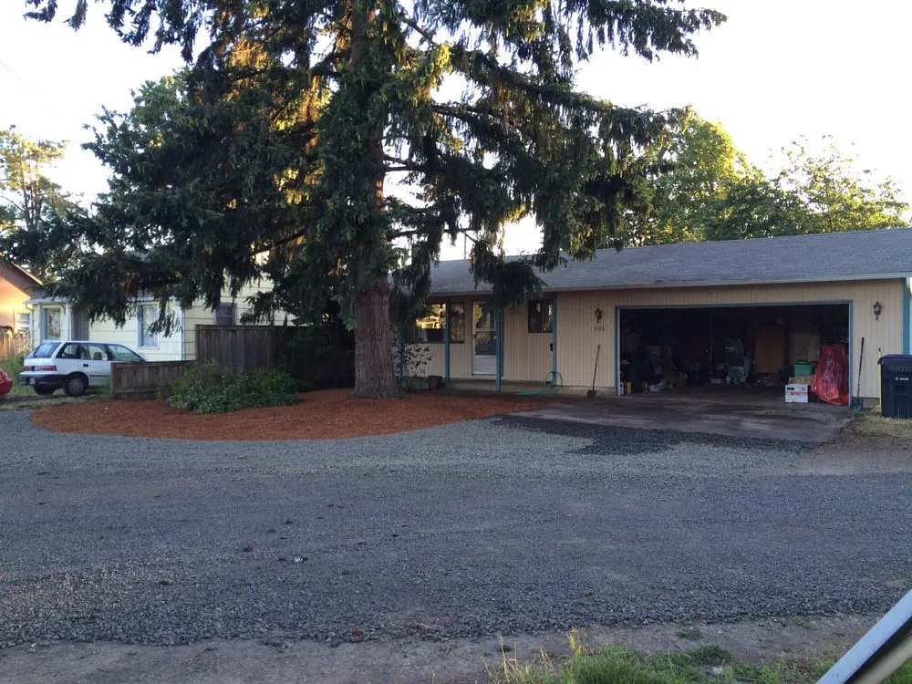 Slide of Moss-N-More