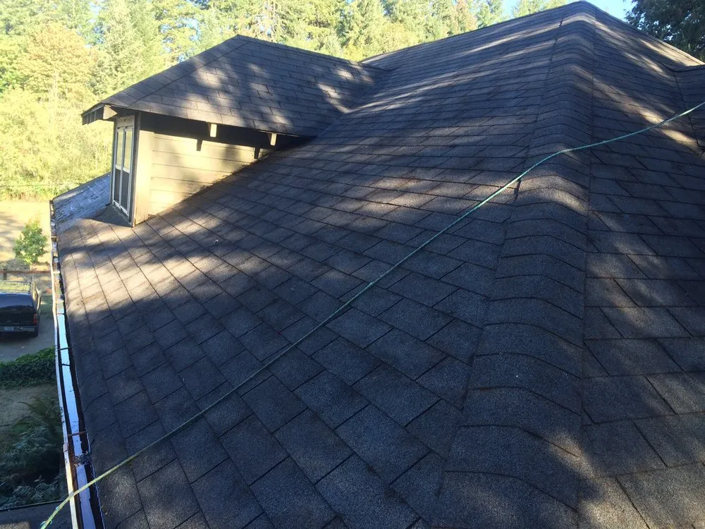 Slide of Moss-N-More