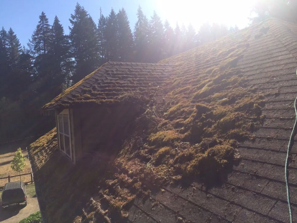 Slide of Moss-N-More