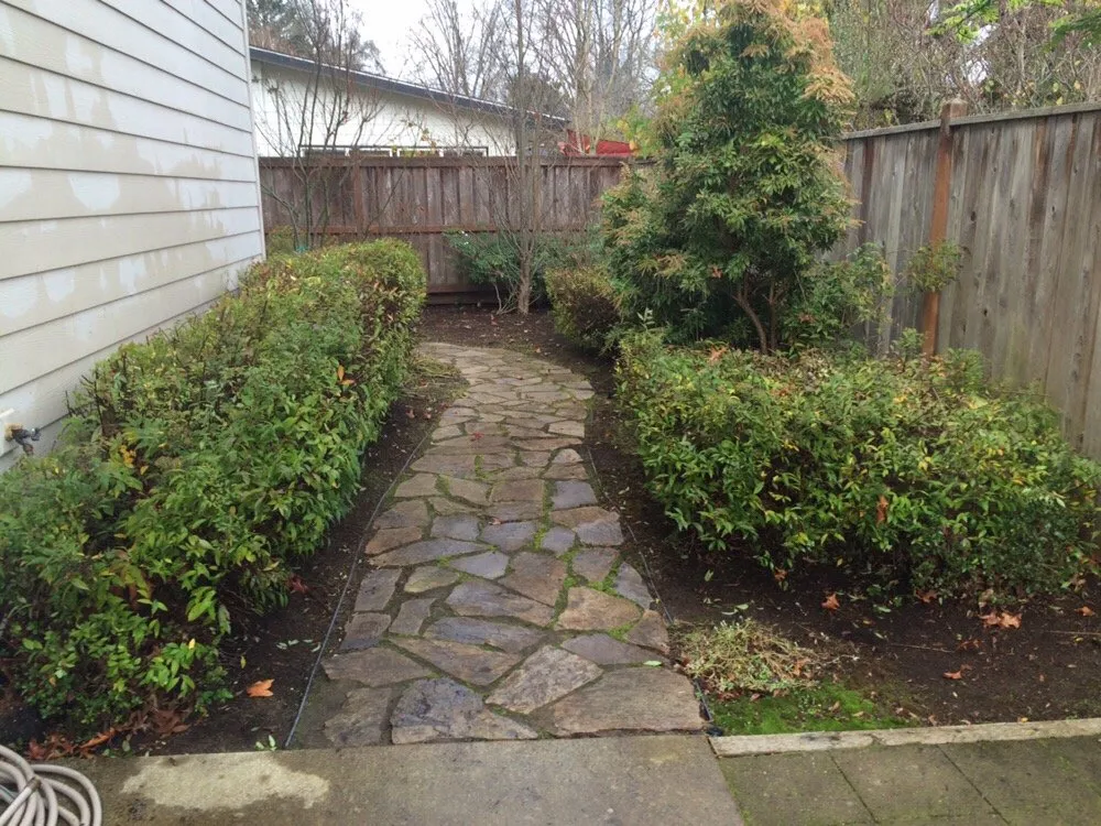 Slide of Moss-N-More