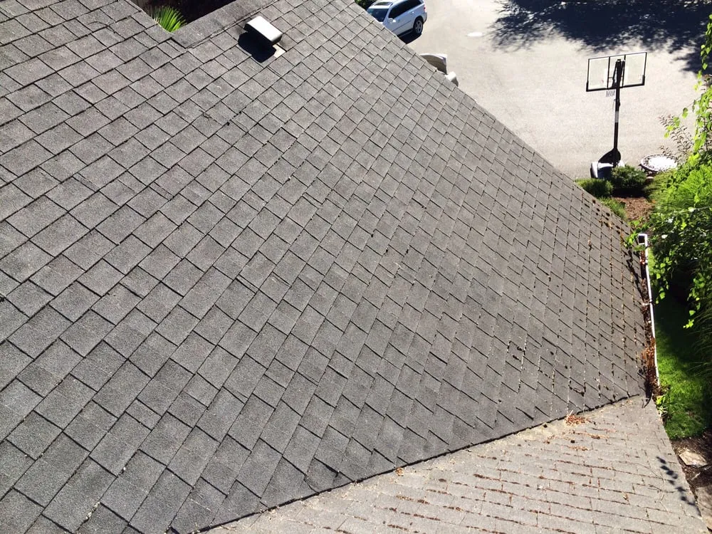 Slide of Moss-N-More