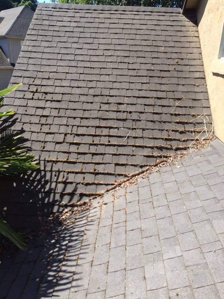 Slide of Moss-N-More