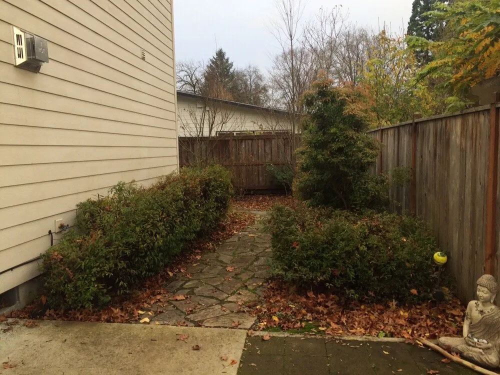 Slide of Moss-N-More