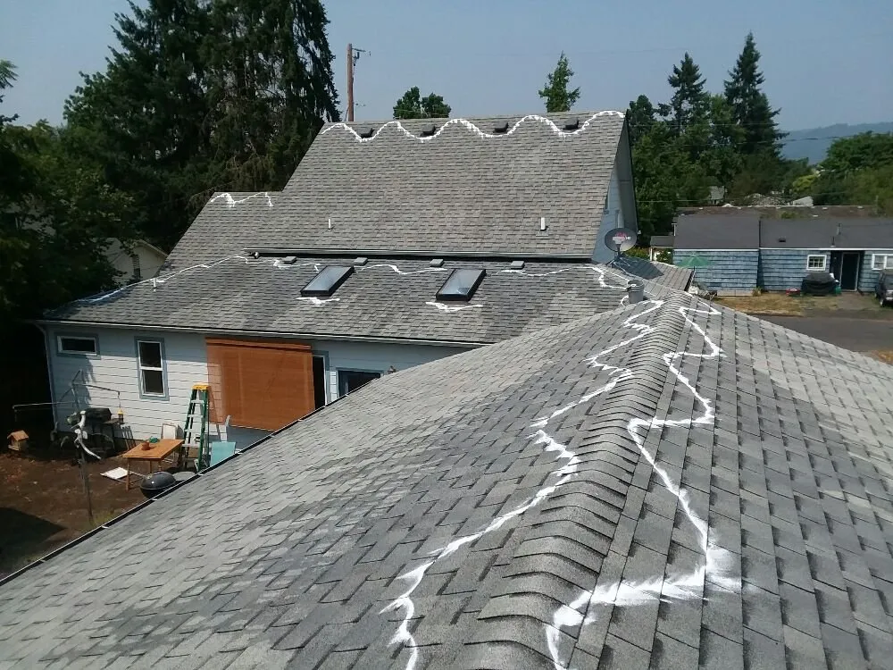 Slide of Moss-N-More