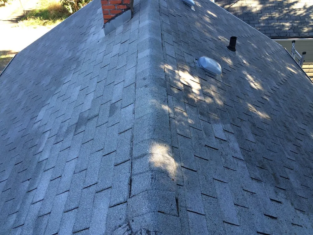 Slide of Moss-N-More